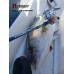 Σετ Ψαρέματος Slow Jigging Ζόκα Καλάμι NOEBY Voyager 1.96m / C.W:30-260gr / 100-350gr Fuji Guides και Μηχανισμός NOEBY NONSUCH JG 1500 Max Drag 15kg Σετ Ψαρέματος Slow Jigging Ζόκα Καλάμι NOEBY Voyager 1.96m / C.W:30-260gr / 100-350gr Fuji Guides και Μηχανισμός NOEBY NONSUCH JG 1500 Max Drag 15kg