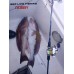 Σετ Ψαρέματος Slow Jigging Ζόκα Καλάμι NOEBY Voyager 1.96m / C.W:30-260gr / 100-350gr Fuji Guides και Μηχανισμός NOEBY NONSUCH JG 1500 Max Drag 15kg Σετ Ψαρέματος Slow Jigging Ζόκα Καλάμι NOEBY Voyager 1.96m / C.W:30-260gr / 100-350gr Fuji Guides και Μηχανισμός NOEBY NONSUCH JG 1500 Max Drag 15kg
