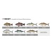 Καλάμι NOEBY Leisure III Solid Tip Light Slow Jigging 1.83m C.W: 30-180gr